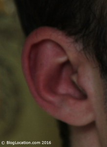8_uvex_foam_ear_plug_long_front_view_is_visible